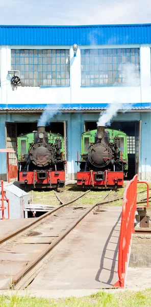 Steam locomotives in depot, Kostolac, Serbia — Stock Photo, Image