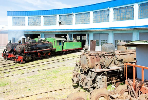 Locomotoras de vapor en depósito, Kostolac, Serbia — Foto de Stock