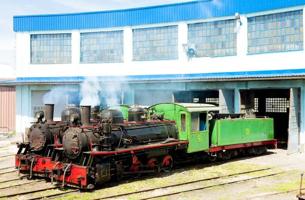 Locomotoras de vapor en depósito, Kostolac, Serbia —  Fotos de Stock