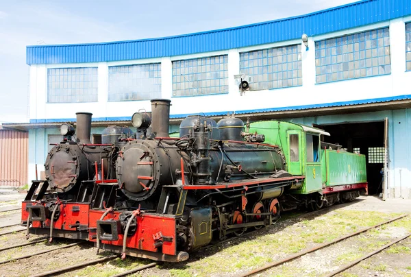 Stoom locomotieven in depot, kostolac, Servië — Stockfoto