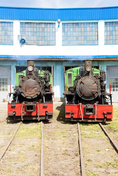 Locomotivas a vapor no depósito, Kostolac, Sérvia — Fotografia de Stock