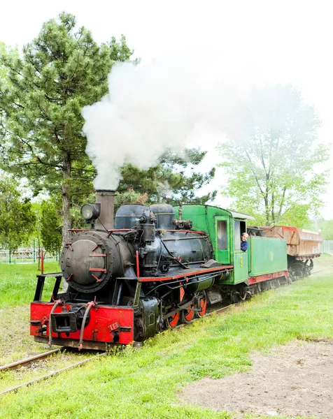Locomotiva a vapor, Kostolac, Sérvia — Fotografia de Stock