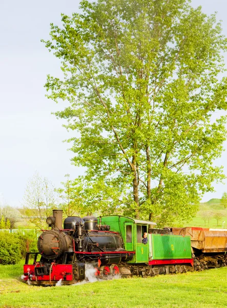 Пар локомотив, Kostolac, Сербія — стокове фото