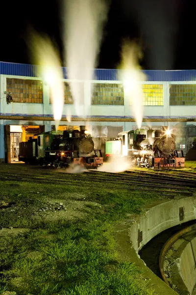 Locomotoras de vapor en depósito por la noche, Kostolac, Serbia — Foto de Stock