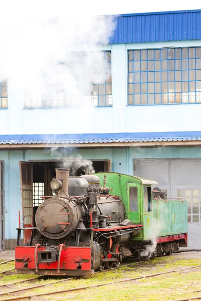 Steam locomotive in depot, Kostolac, Serbia — Stock Photo, Image