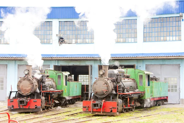 蒸気機関車デポ, kostolac, セルビア — ストック写真