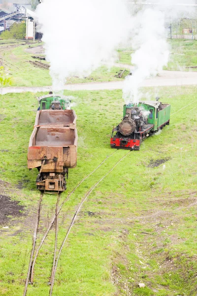 蒸汽货运列车、 kostolac、 塞尔维亚 — 图库照片