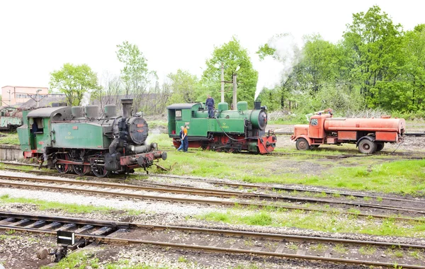 Steam lokomotywy, Kolubary, serbia — Zdjęcie stockowe