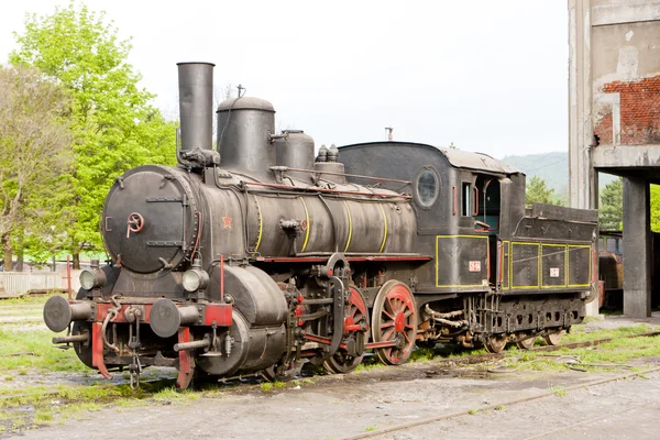 Stoom locomotief (126.014), resavica, Servië — Stockfoto