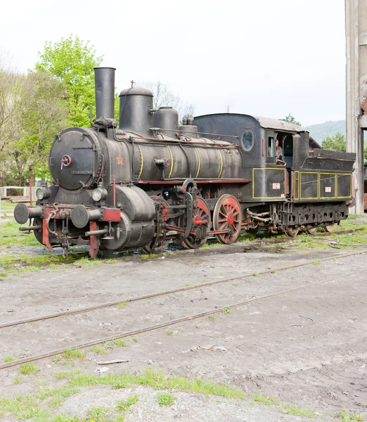 Locomotiva a vapor (126.014), Resavica, Sérvia — Fotografia de Stock