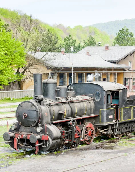 Locomotora de vapor (126.014), Resavica, Serbia — Foto de Stock