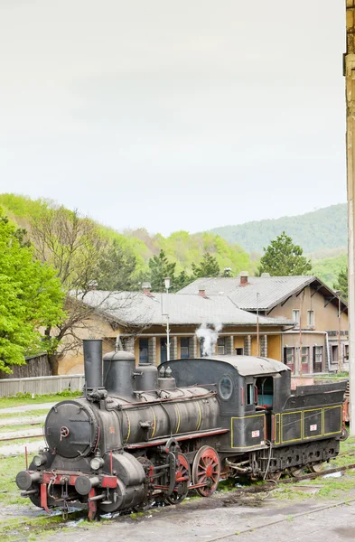 蒸気機関車 (126.014), resavica, セルビア — ストック写真