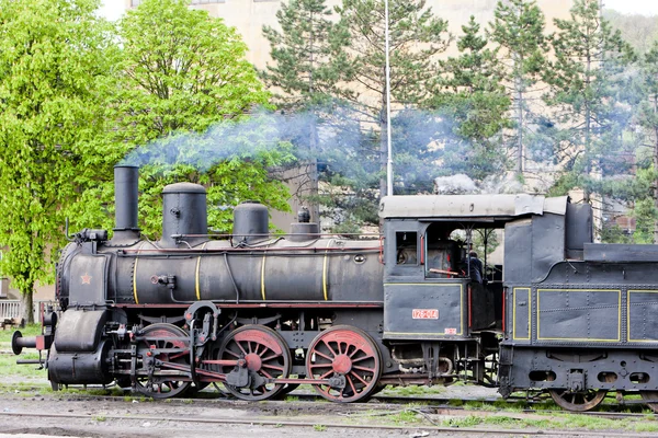 蒸气机车 （126.014）、 雷萨维察、 塞尔维亚 — 图库照片