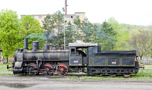 Ånga lokomotiv (126.014), resavica, Serbien — Stockfoto