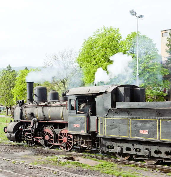 Parní lokomotiva (126.014), resavica, Srbsko — Stock fotografie