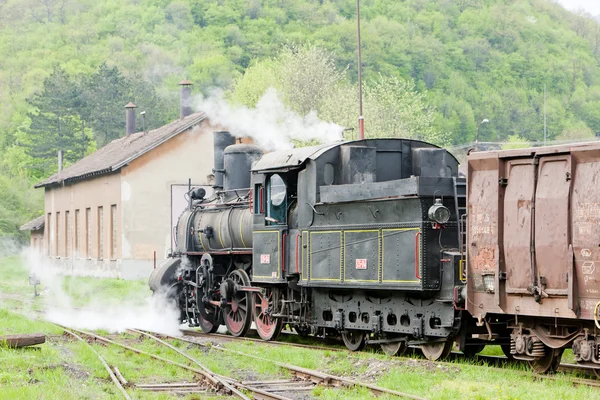 Steam freight train (126.014), Resavica, Сербия — стоковое фото