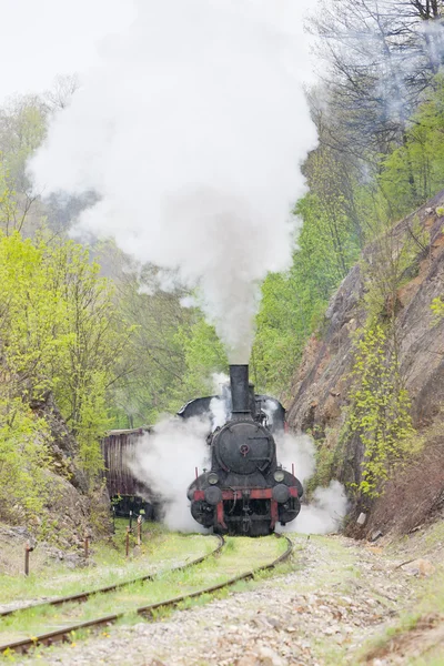 Locomotiva a vapor (126.014), Resavica, Sérvia — Fotografia de Stock