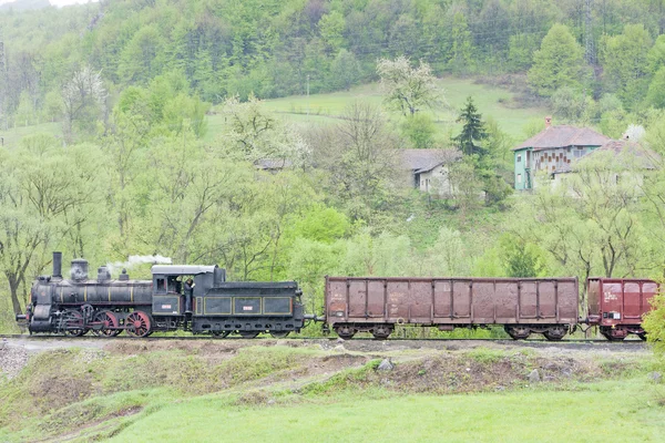 Steam pociąg towarowy (126.014), resavica, serbia — Zdjęcie stockowe
