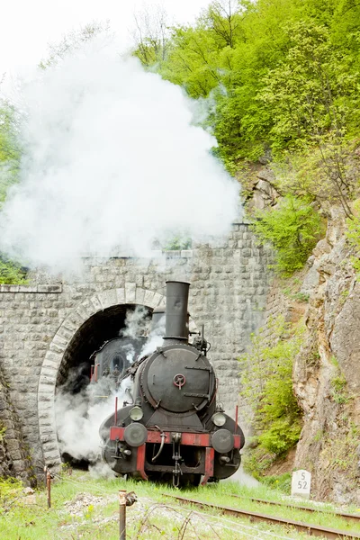 Steam lokomotywa (126.014), resavica, serbia — Zdjęcie stockowe