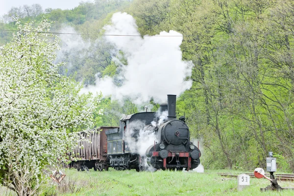 Treno merci a vapore (126.014), Resavica, Serbia — Foto Stock