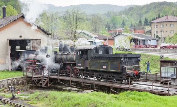 Locomotiva a vapore (126.014), Resavica, Serbia — Foto Stock