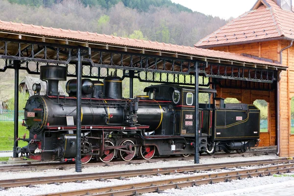 Ånga lokomotiv, sargan, Serbien — Stockfoto