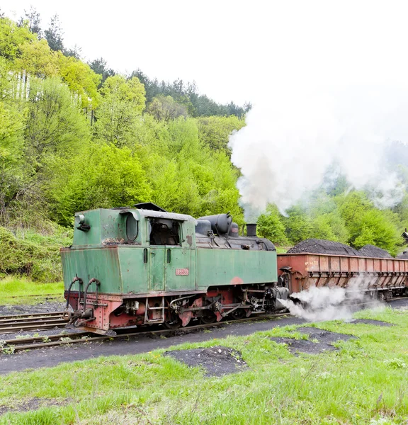 Ατμοκίνητο τρένο εμπορευματικών μεταφορών, παράδοση σημείο στην oskova, Βοσνία και herceg — Φωτογραφία Αρχείου