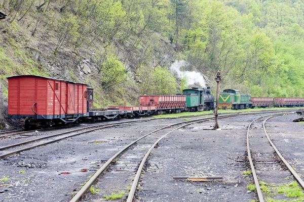 Tren de carga a vapor, punto de entrega en Oskova, Bosnia y Herceg —  Fotos de Stock