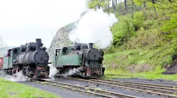 Locomotivas a vapor, Oskova, Bósnia e Herzegovina — Fotografia de Stock
