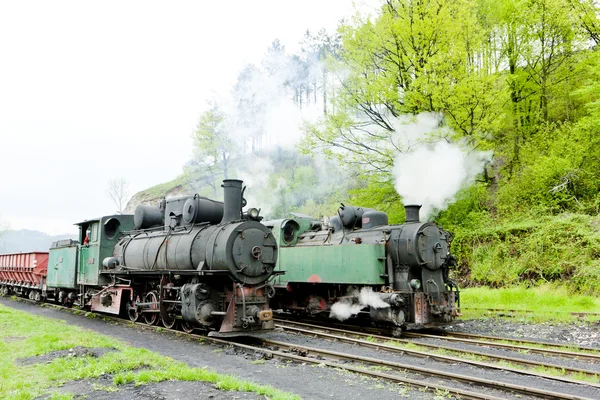 Locomotivas a vapor, Oskova, Bósnia e Herzegovina — Fotografia de Stock