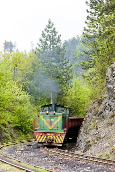 Schmalspurbahn, Banovici, Bosnien und Herzegowina — Stockfoto