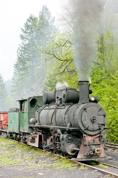 Smalspårig järnväg, banovici, Bosnien och hercegovina — Stockfoto