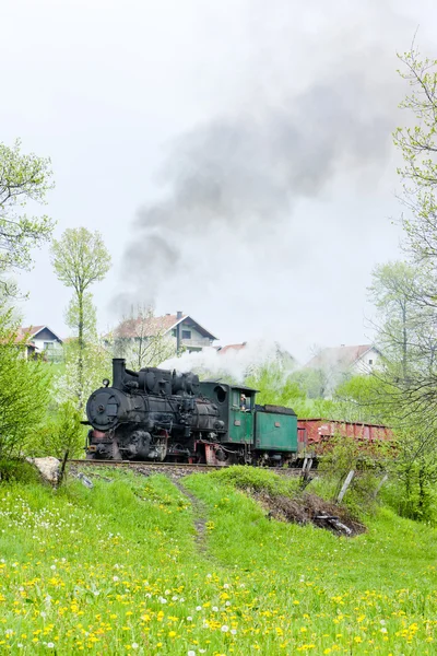 Ferroviária de bitola estreita, Banovici, Bósnia e Herzegovina — Fotografia de Stock