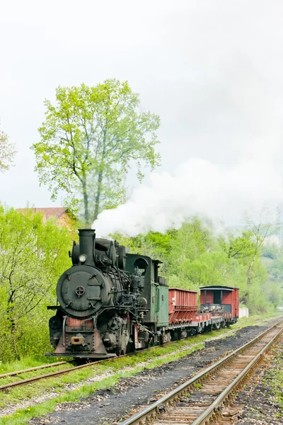 Вузькоколійна залізниця, Banovici, Боснія і Герцеговина — стокове фото