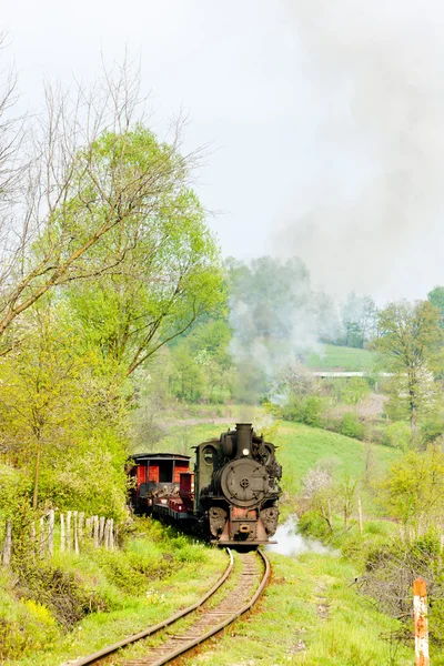 Ferrocarril de vía estrecha, Banovici, Bosnia y Herzegovina — Foto de Stock