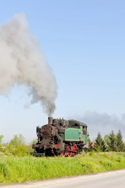 蒸汽机车、 durdevik、 波斯尼亚及赫塞哥维纳 — 图库照片
