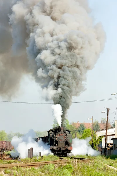 蒸汽货运火车、 durdevik、 波斯尼亚及赫塞哥维纳 — 图库照片