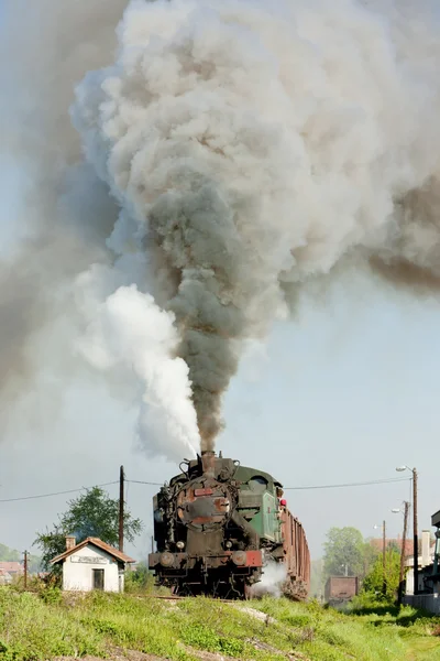 Train de marchandises à vapeur, Durdevik, Bosnie-Herzégovine — Photo