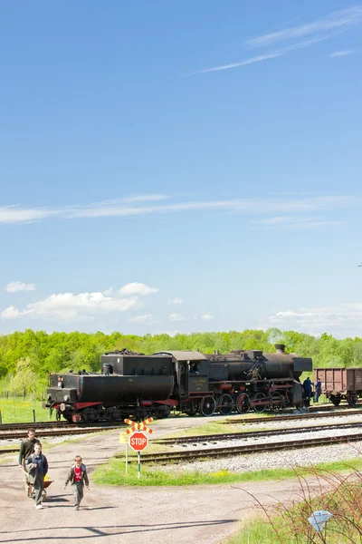 Parní lokomotiva v regionu tuzla, Bosně a Hercegovině — Stock fotografie