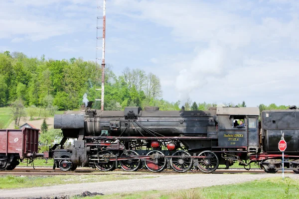 在图兹拉区域、 波斯尼亚及赫塞哥维纳蒸汽机车 — 图库照片