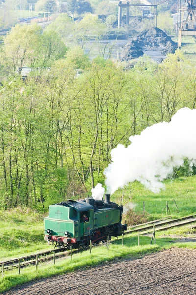 Locomotiva a vapor, Durdevik, Bósnia e Herzegovina — Fotografia de Stock