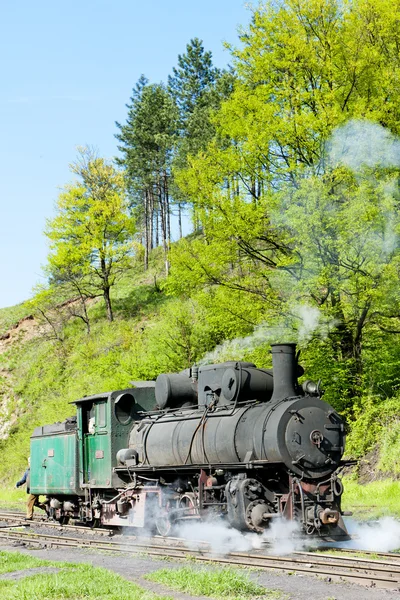 Ατμομηχανή ατμού, παράδοση σημείο στην oskova, Βοσνία και hercegovi — Φωτογραφία Αρχείου