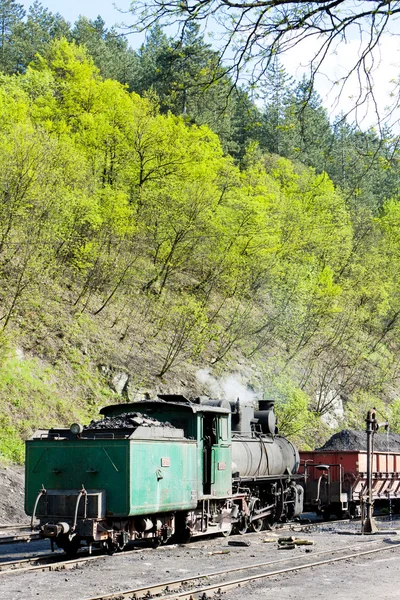 Parní lokomotiva, dodacího místa v oskova, Bosně a hercegovi — Stock fotografie