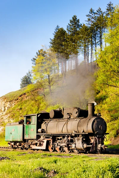 Паровой локомотив, пункт поставки в Оскову, Боснию и Герцеговы — стоковое фото