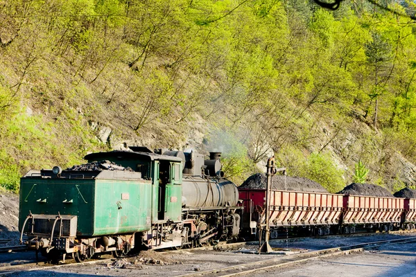 Treno merci a vapore, punto di consegna a Oskova, Bosnia ed Herceg — Foto Stock