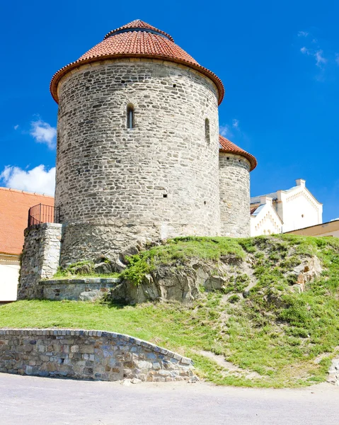Rotunda i saint catherine, znojmo, Tjeckien — Stockfoto