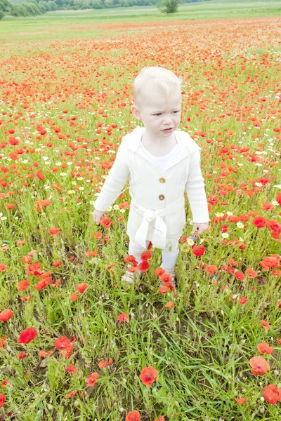 Niña en el prado de verano en flor —  Fotos de Stock