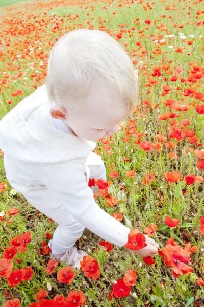 Kleines Mädchen auf blühender Sommerwiese — Stockfoto