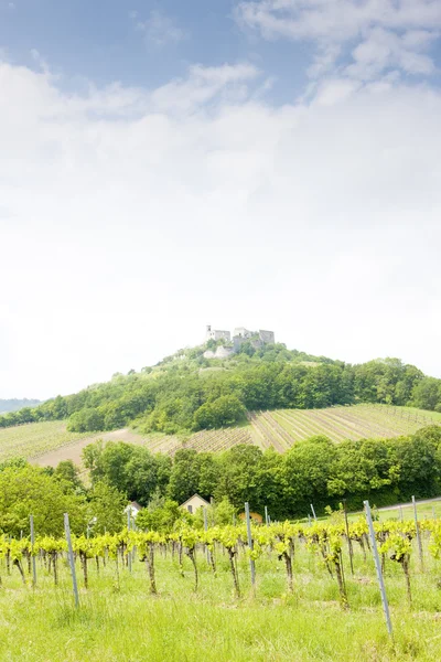 Ruínas do Castelo de Falkenstein com vinha, Baixa Áustria, Austri — Fotografia de Stock