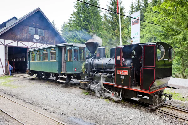 Locomotivas a vapor, Museu da aldeia de Kysuce, Vychylovka, Slovaki — Fotografia de Stock